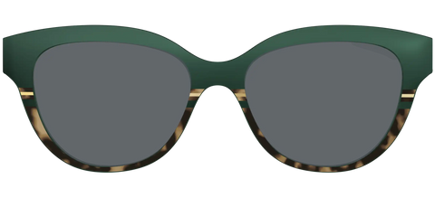 The Polarized Spruce Tortoise Sun Top
