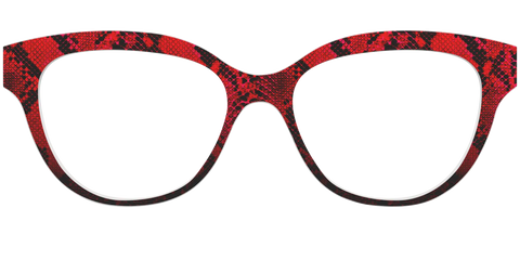 The Statement Snakeskin