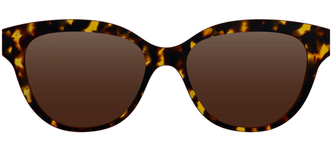 The Polarized Tortoise Sun Top