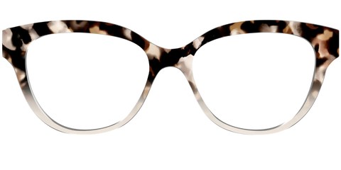 The Vanilla Latte Tortoise