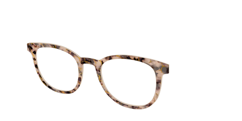 The Almond Tortoise with Gold Streaks