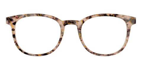 The Almond Tortoise with Gold Streaks