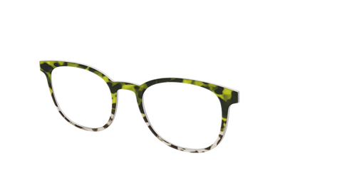 The Avocado to Ivory Tortoise