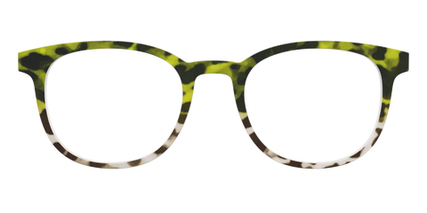 The Avocado to Ivory Tortoise