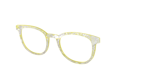 The Buttercup Pearl Tortoise