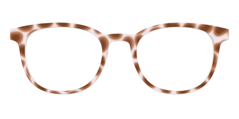 The Caffé Tortoise