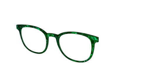 The Clover Pearl Tortoise