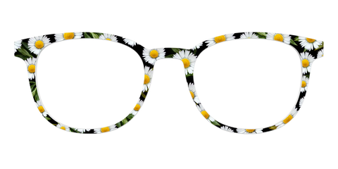 The Delicate Daisies