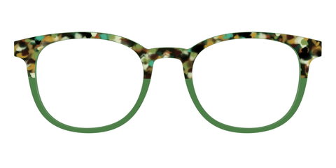 The Forest Tortoise Crystal Split