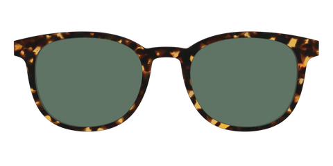 The Non-Polarized Green Tortoise Sun Top