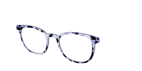 The Lilac Pearl Tortoise
