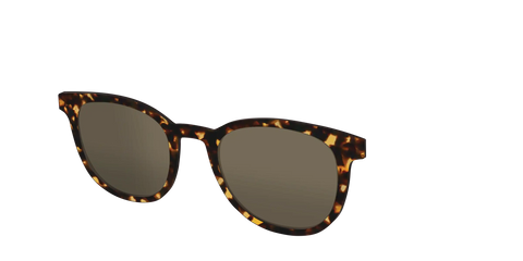 The Non-Polarized Tortoise Sun Top