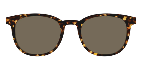 The Non-Polarized Tortoise Sun Top