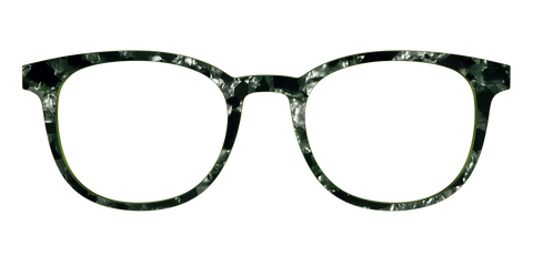 The Olive Pearl Tortoise