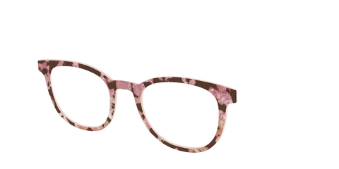 The Pale Peach Pearl Tortoise