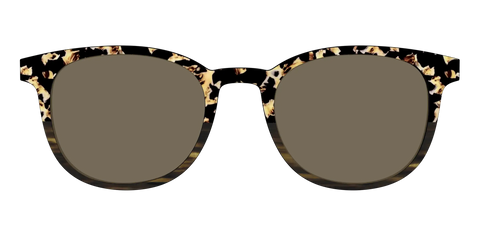The Polarized Caramel Tortoise Horn Split Sun Top