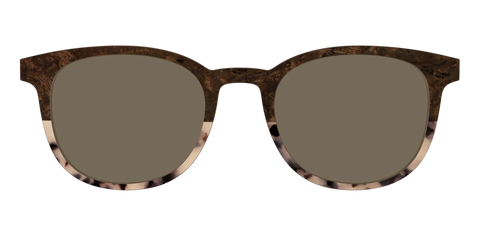 The Polarized Dark Oak Tortoise Split Sun Top