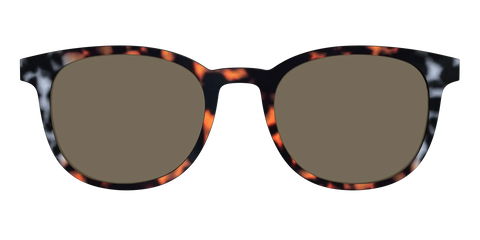 The Polarized Gray & Amber Tortoise Sun Top
