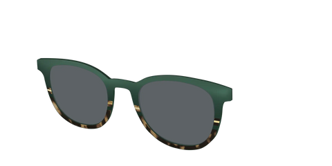 The Polarized Spruce Tortoise Sun Top
