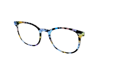 The Positano Tortoise
