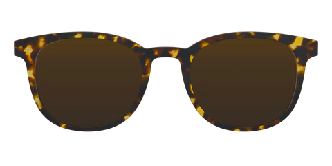 The Polarized Tortoise Sun Top