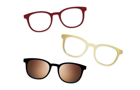 Tortoise - Set