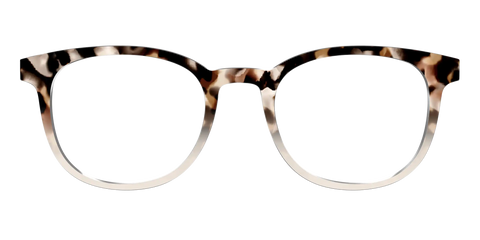 The Vanilla Latte Tortoise