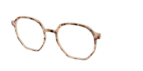 The Almond Tortoise with Gold Streaks