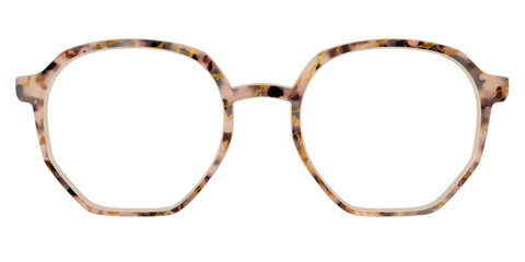 The Almond Tortoise with Gold Streaks