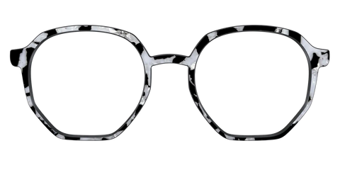 The Black & White Pearl Tortoise