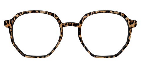 The Cheetah Spots