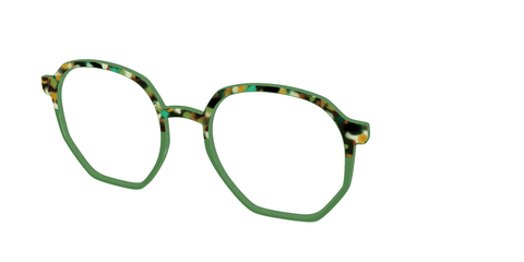 The Forest Tortoise Crystal Split