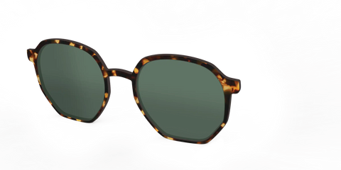 The Non-Polarized Green Tortoise Sun Top