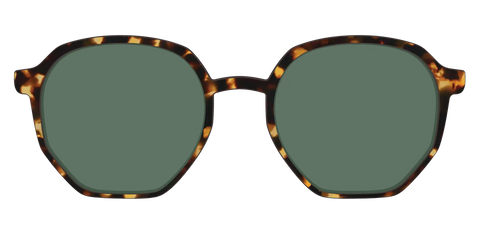 The Non-Polarized Green Tortoise Sun Top
