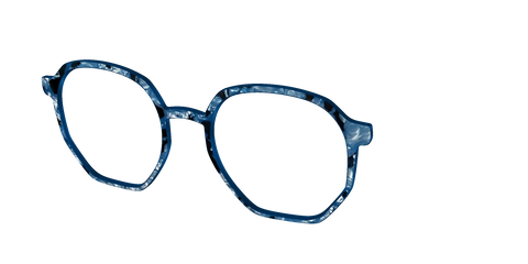 The Midnight Blue Pearl Tortoise