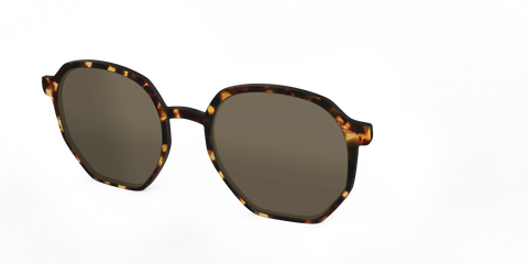 The Non-Polarized Tortoise Sun Top
