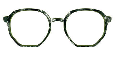 The Olive Pearl Tortoise