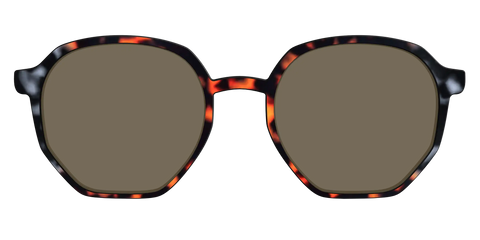 The Polarized Gray & Amber Tortoise Sun Top