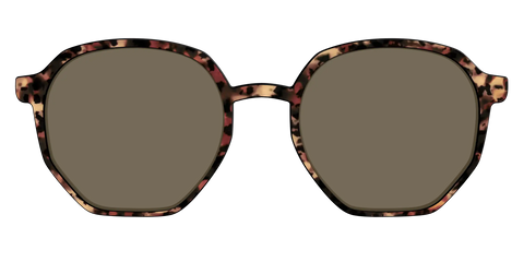 The Polarized Sienna Tortoise Sun Top