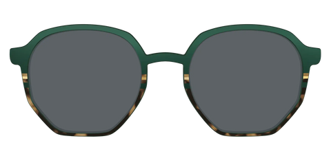 The Polarized Spruce Tortoise Sun Top