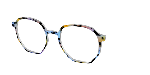 The Positano Tortoise