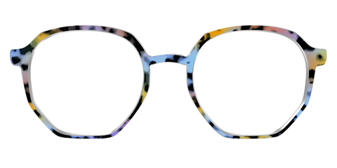 The Positano Tortoise