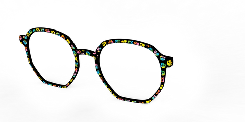 The Rainbow Paw Print