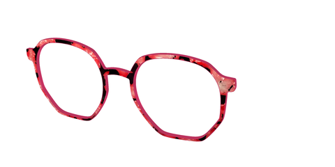 The Red Agate Pearl Tortoise