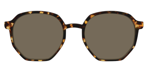 The Polarized Tortoise Sun Top
