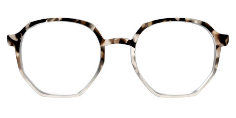 The Vanilla Latte Tortoise