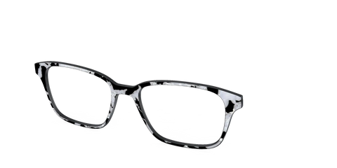 The Black & White Pearl Tortoise