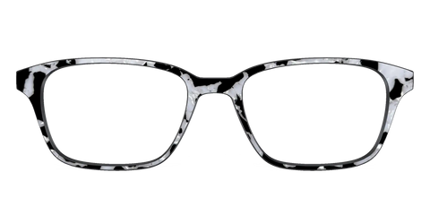 The Black & White Pearl Tortoise