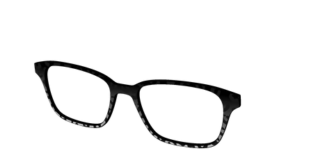 The Black Cheetah