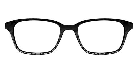 The Black Cheetah